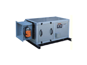 RF全自动电热循环风机箱